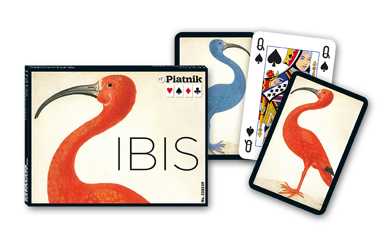 Ibis